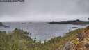 ./images/calvert/foggy-cove/20260325/foggy-cove20260325_164501M.jpg