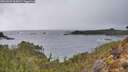 ./images/calvert/foggy-cove/20260325/foggy-cove20260325_165002M.jpg