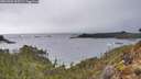 ./images/calvert/foggy-cove/20260325/foggy-cove20260325_165501M.jpg