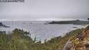 ./images/calvert/foggy-cove/20260325/foggy-cove20260325_172001M.jpg