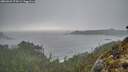 ./images/calvert/foggy-cove/20260325/foggy-cove20260325_174501M.jpg