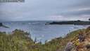 ./images/calvert/foggy-cove/20260326/foggy-cove20260326_073501M.jpg