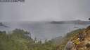 ./images/calvert/foggy-cove/20260326/foggy-cove20260326_081001M.jpg