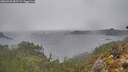 ./images/calvert/foggy-cove/20260326/foggy-cove20260326_081501M.jpg