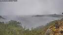 ./images/calvert/foggy-cove/20260326/foggy-cove20260326_082001M.jpg