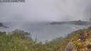 ./images/calvert/foggy-cove/20260326/foggy-cove20260326_082501M.jpg