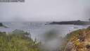 ./images/calvert/foggy-cove/20260326/foggy-cove20260326_083501M.jpg