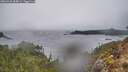 ./images/calvert/foggy-cove/20260326/foggy-cove20260326_084001M.jpg