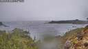 ./images/calvert/foggy-cove/20260326/foggy-cove20260326_085001M.jpg