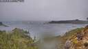 ./images/calvert/foggy-cove/20260326/foggy-cove20260326_085501M.jpg
