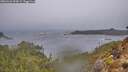 ./images/calvert/foggy-cove/20260326/foggy-cove20260326_090001M.jpg