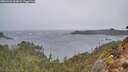 ./images/calvert/foggy-cove/20260326/foggy-cove20260326_093001M.jpg