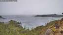 ./images/calvert/foggy-cove/20260326/foggy-cove20260326_093501M.jpg
