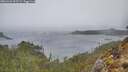 ./images/calvert/foggy-cove/20260326/foggy-cove20260326_095502M.jpg
