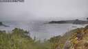 ./images/calvert/foggy-cove/20260326/foggy-cove20260326_100001M.jpg