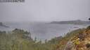 ./images/calvert/foggy-cove/20260326/foggy-cove20260326_101001M.jpg