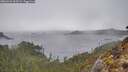 ./images/calvert/foggy-cove/20260326/foggy-cove20260326_103502M.jpg