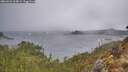 ./images/calvert/foggy-cove/20260326/foggy-cove20260326_104002M.jpg