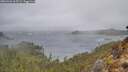 ./images/calvert/foggy-cove/20260326/foggy-cove20260326_105501M.jpg