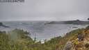 ./images/calvert/foggy-cove/20260326/foggy-cove20260326_113001M.jpg