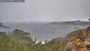 ./images/calvert/foggy-cove/20260326/foggy-cove20260326_114502M.jpg