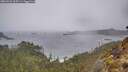 ./images/calvert/foggy-cove/20260326/foggy-cove20260326_115501M.jpg
