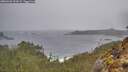 ./images/calvert/foggy-cove/20260326/foggy-cove20260326_122001M.jpg