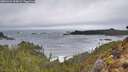 ./images/calvert/foggy-cove/20260326/foggy-cove20260326_124501M.jpg