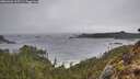 ./images/calvert/foggy-cove/20260326/foggy-cove20260326_125501M.jpg
