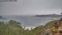 ./images/calvert/foggy-cove/20260326/foggy-cove20260326_134001M.jpg