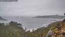 ./images/calvert/foggy-cove/20260326/foggy-cove20260326_135501M.jpg
