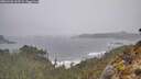 ./images/calvert/foggy-cove/20260326/foggy-cove20260326_143501M.jpg
