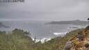 ./images/calvert/foggy-cove/20260326/foggy-cove20260326_144001M.jpg