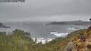 ./images/calvert/foggy-cove/20260326/foggy-cove20260326_150501M.jpg