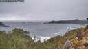 ./images/calvert/foggy-cove/20260326/foggy-cove20260326_151001M.jpg