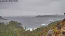 ./images/calvert/foggy-cove/20260326/foggy-cove20260326_163501M.jpg