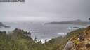 ./images/calvert/foggy-cove/20260326/foggy-cove20260326_165001M.jpg