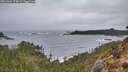 ./images/calvert/foggy-cove/20260326/foggy-cove20260326_174501M.jpg