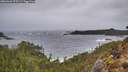 ./images/calvert/foggy-cove/20260326/foggy-cove20260326_175501M.jpg