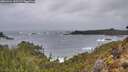 ./images/calvert/foggy-cove/20260326/foggy-cove20260326_180502M.jpg