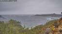 ./images/calvert/foggy-cove/20260326/foggy-cove20260326_184501M.jpg