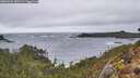 ./images/calvert/foggy-cove/20260326/foggy-cove20260326_185501M.jpg