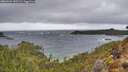 ./images/calvert/foggy-cove/20260326/foggy-cove20260326_190501M.jpg