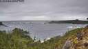 ./images/calvert/foggy-cove/20260327/foggy-cove20260327_075501M.jpg