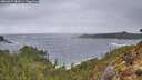 ./images/calvert/foggy-cove/20260327/foggy-cove20260327_080001M.jpg
