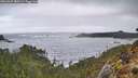 ./images/calvert/foggy-cove/20260327/foggy-cove20260327_080501M.jpg