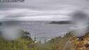 ./images/calvert/foggy-cove/20260327/foggy-cove20260327_081501M.jpg