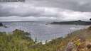 ./images/calvert/foggy-cove/20260327/foggy-cove20260327_091501M.jpg