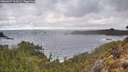 ./images/calvert/foggy-cove/20260327/foggy-cove20260327_102002M.jpg