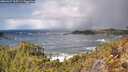 ./images/calvert/foggy-cove/20260327/foggy-cove20260327_125501M.jpg